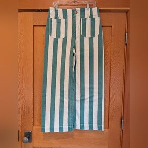 Maeve By Anthropologie COLETTE Cropped Wide Leg Striped Pant Size 31 Tall 27" L